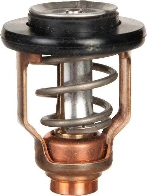 Thermostat - 67F-12411-01-00